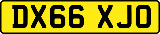 DX66XJO