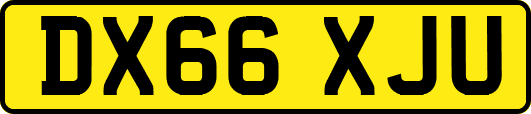 DX66XJU