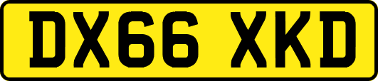 DX66XKD