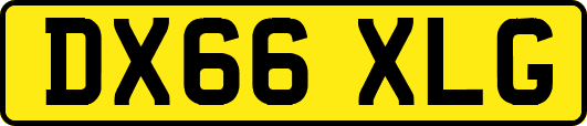 DX66XLG