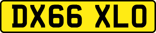 DX66XLO