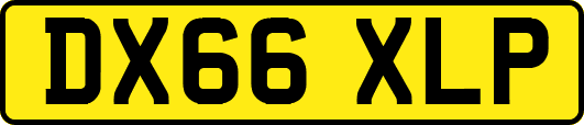 DX66XLP