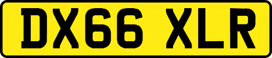 DX66XLR