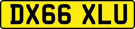 DX66XLU
