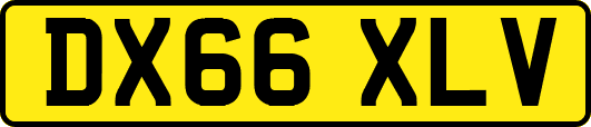 DX66XLV