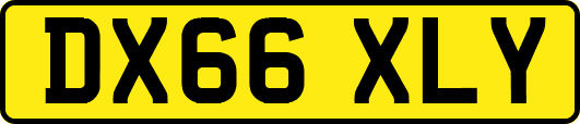 DX66XLY