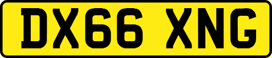 DX66XNG