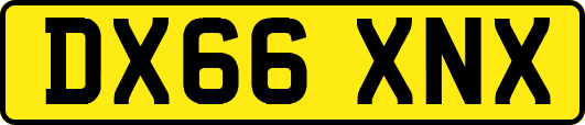 DX66XNX