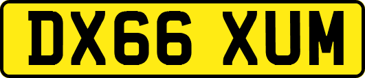 DX66XUM