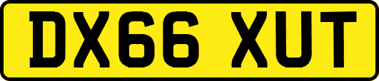 DX66XUT