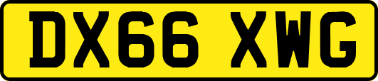 DX66XWG