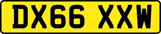DX66XXW