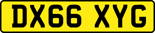 DX66XYG