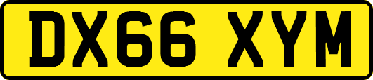 DX66XYM
