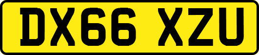 DX66XZU