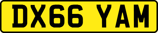 DX66YAM