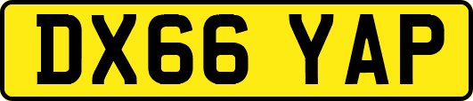 DX66YAP