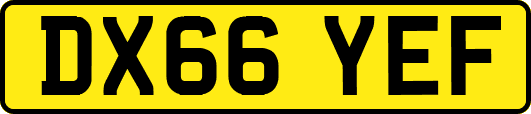 DX66YEF