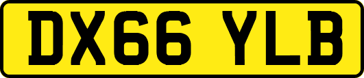 DX66YLB