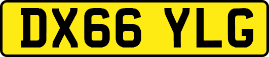 DX66YLG