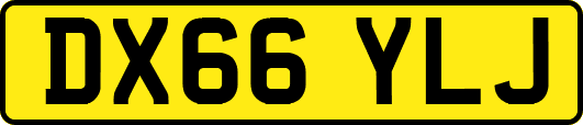 DX66YLJ