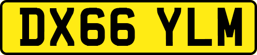DX66YLM