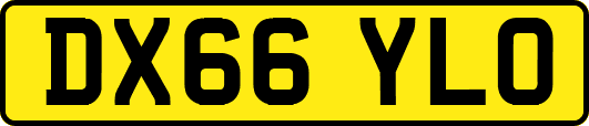 DX66YLO