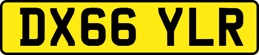 DX66YLR