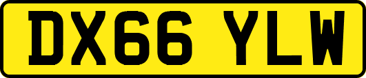 DX66YLW