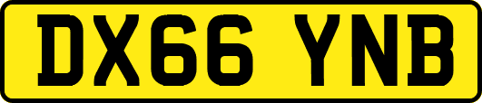 DX66YNB