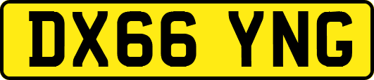 DX66YNG
