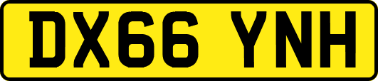 DX66YNH