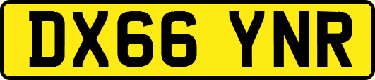 DX66YNR