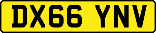 DX66YNV