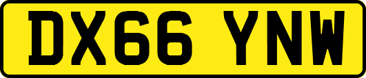 DX66YNW