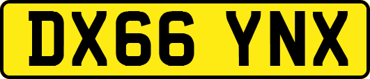 DX66YNX
