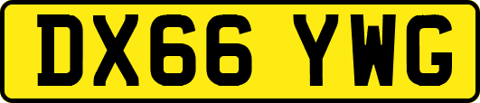 DX66YWG
