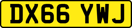 DX66YWJ