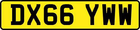 DX66YWW