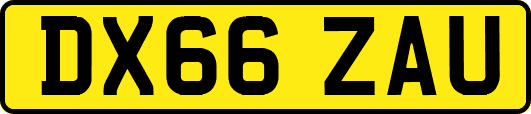 DX66ZAU