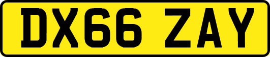 DX66ZAY