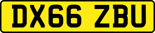DX66ZBU