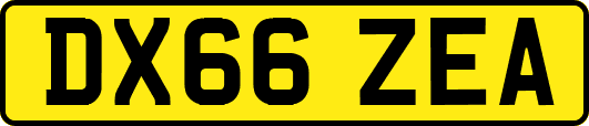 DX66ZEA