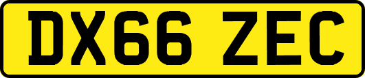 DX66ZEC