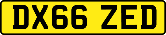 DX66ZED