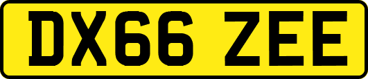DX66ZEE