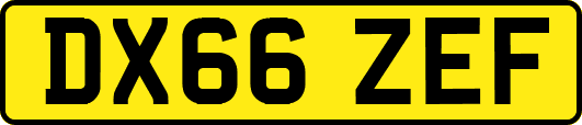 DX66ZEF
