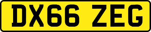 DX66ZEG