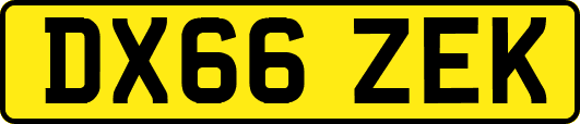 DX66ZEK