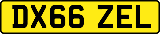 DX66ZEL